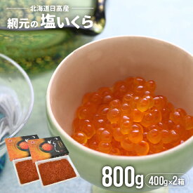 【ふるさと納税】【めしの素(秋鮭)2P付】網元の塩いくら(400gx2箱)[01-576]