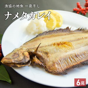 yӂ邳Ɣ[Łz̒n銱 i^JC TCY(6)[02-866] kC Y ӂ邳Ɣ[ 銱 i^JC JC  