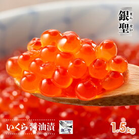 【ふるさと納税】前浜産 ブランド銀毛鮭(天然)「銀聖」いくら醤油漬(500g×3箱)[02-562]