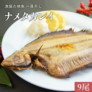 yӂ邳Ɣ[Łz̒n銱 i^JC TCY(9)[02-868] kC Y ӂ邳Ɣ[ 銱 i^JC  