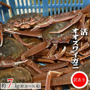 yӂ邳Ɣ[Łz󂠂 IIYCKj7kg(28`30)[02-1411]Eꌧs kC Y ӂ邳Ɣ[ IIYCKj Jj   ① 
