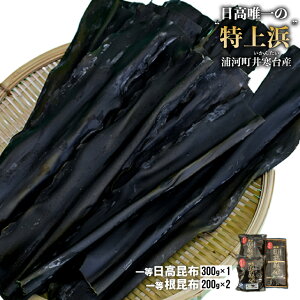 yӂ邳Ɣ[Łz䊦Y@ꓙz(300g×1)ƈꓙz(200g×2)[34-1011]