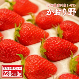 【ふるさと納税】【先行受付開始！】北海道浦河産いちご「かおり野」230g×3P[13-113] 北海道 浦河 ふるさと納税 いちご かおり野 果物 3P 送料無料