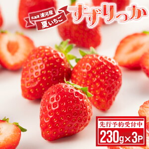 yӂ邳Ɣ[ŁzystJnIzkCY͎Y Ă uv230g×3P[13-1334] kC Y ӂ邳Ɣ[    