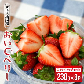 【ふるさと納税】【先行受付開始！】北海道浦河産いちご「おいCベリー」230g×3P[13-1127]北海道 浦河 ふるさと納税 いちご おいCベリー 旬 送料無料