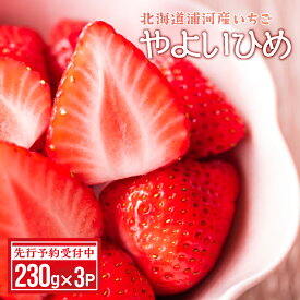 【ふるさと納税】【先行受付開始！】北海道浦河産いちご「やよいひめ」230g×3P[13-883] 北海道 浦河 ふるさと納税 いちご 苺 やよいひめ 送料無料
