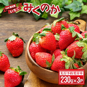 yӂ邳Ɣ[ŁzystJnIzkCY͎Yû݂v230g×3P[13-1430] kC Y ӂ邳Ɣ[  ݂̂ ʕ 3P 