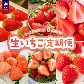 【ふるさと納税】【来年1月より発送！】全6品種が届く！生いちご定期便(全6回)[13-1130] 北海道 浦河 ふるさと納税 いちご 旬 定期便 送料無料