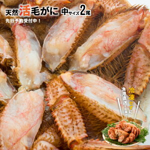 yӂ邳Ɣ[ŁzystJnIz̊т TCY2ZbgtwΉs[02-175]Eꌧs kC Y ӂ邳Ɣ[ kCY kCY Ɋ ъI 