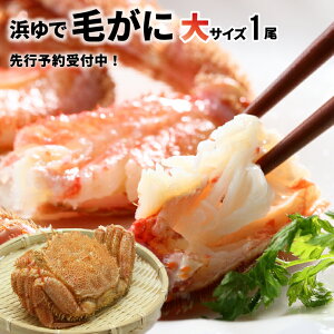 yӂ邳Ɣ[ŁzystJnIz̕lŖт TCY1twΉs[02-346]Eꌧs kC Y ӂ邳Ɣ[ kCY kCY   䥂ł