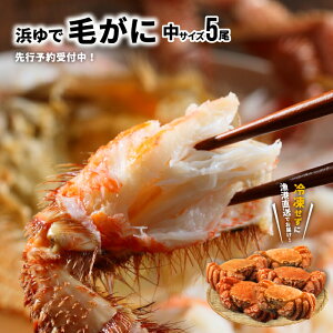 yӂ邳Ɣ[ŁzystJnIz̕lŖт TCY5ZbgtwΉs[02-628]Eꌧs kC Y ӂ邳Ɣ[ kCY kCY т