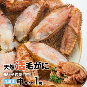 yӂ邳Ɣ[ŁzystJnIz̊т TCY1twΉs[02-1421]Eꌧs kC Y͒ ӂ邳Ɣ[ kCY kCY Ɋ т 