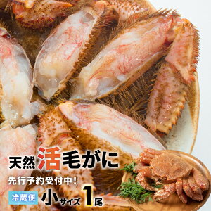 yӂ邳Ɣ[ŁzystJnIz̊т TCY1twΉs[02-1419]Eꌧs kC Y͒ ӂ邳Ɣ[ kCY kCY͎Y Ɋ т 