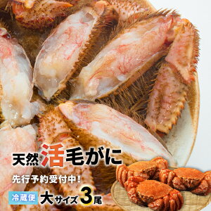 yӂ邳Ɣ[ŁzystJnIz̊т TCY3twΉs[02-1420]Eꌧs kC Y ӂ邳Ɣ[ kCY Y͎Y VR ъI т Ɋ 