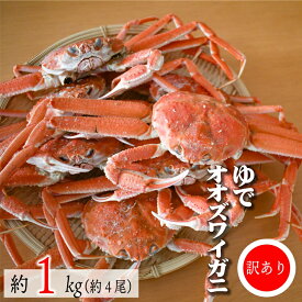 【ふるさと納税】訳あり ゆでオオズワイガニ約1kg(約4尾入)[02-1410]※離島・沖縄県不可※ 北海道 浦河 ふるさと納税 オオズワイガニ カニ ゆで 1kg 漁協直送 冷蔵発送 送料無料