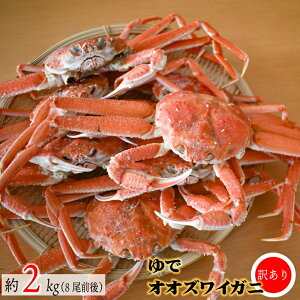yӂ邳Ɣ[Łz󂠂 ŃIIYCKj2kg(8O)[02-1306]Eꌧs kC Y ӂ邳Ɣ[ IIYCKj Jj  2kg  ① 