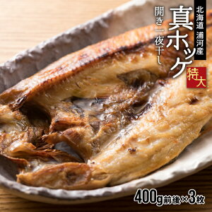 yӂ邳Ɣ[ŁzIJ^zbP銱()400gO×3 [02-526] kC Y ӂ邳Ɣ[ zbP 銱  