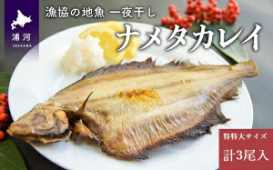yӂ邳Ɣ[Łz̒n銱 i^JC TCY(3)[02-1247] kC Y ӂ邳Ɣ[ 銱 i^JC JC  