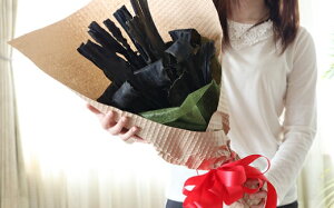 yӂ邳Ɣ[Łzz̉ԑ Y͊Ru[P50cm×20{[23-296] kC Y ӂ邳Ɣ[ z z u[P ԑ j ̓ ̓ hV̓ ސE TvCY җ 