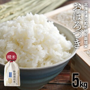 yӂ邳Ɣ[ŁzystJnIzkCY͒̓ʍ͔|āuڂÂv(5kg×1)[37-1132] kC Y ӂ邳Ɣ[ ڂÂ ߘa7Nx 5kg ʍ͔|   
