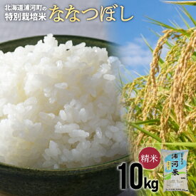 【ふるさと納税】浦河の特別栽培米「ななつぼし」精米(10kg×1袋)[37-1026] 北海道 浦河 ふるさと納税 ななつぼし 令和7年度 10kg 特別栽培米 米 精米 送料無料