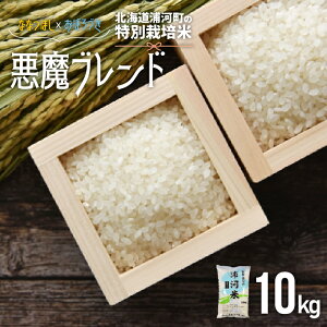 yӂ邳Ɣ[ŁzystJnIzkCY͒̓ʍ͔|āuuhv(10kg×1)[37-1224] kC Y ӂ邳Ɣ[ ȂȂڂ ڂÂ uh   ߘa7NY 