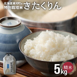 yӂ邳Ɣ[ŁzystJnIzY͂̓ʍ͔|āuv(5kg×1)[37-1370] kC Y ӂ邳Ɣ[  ߘa7Nx 5kg ʍ͔|   