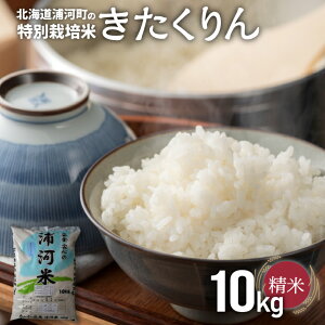 yӂ邳Ɣ[ŁzyVĔIzY͂̓ʍ͔|āuv(10kg×1)[37-1371] kC Y ӂ邳Ɣ[  ߘa7Nx 10kg ʍ͔|   