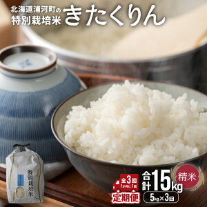 yӂ邳Ɣ[ŁzystJnIzY͂̓ʍ͔|āuv(5kg×1)(S3)[37-1493] kC Y ӂ邳Ɣ[  ߘa7Nx 5kg  ʍ͔|   