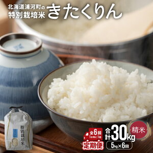yӂ邳Ɣ[ŁzystJnIzY͂̓ʍ͔|āuv(5kg×1)(S6)[37-1494] kC Y ӂ邳Ɣ[  ߘa7Nx 5kg  ʍ͔|   