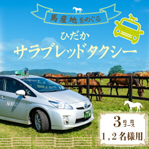 yӂ邳Ɣ[ŁznYn߂uЂTubh^NV[v3(1,2l)R[X[41-1102] kC Y ӂ邳Ɣ[ ^NV[ ό n q Tubh 1.2l 
