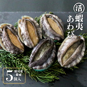 yӂ邳Ɣ[Łzy12Izڈ΂×5[46-1344] kC Y ӂ邳Ɣ[ kCY kCY͎Y {B  ڈ΂ Ar  