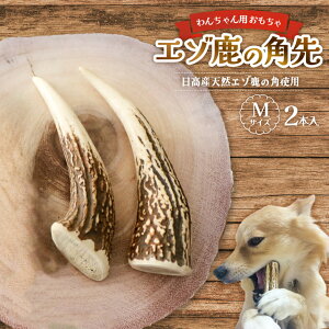 yӂ邳Ɣ[ŁzG]̊p MTCY×2{Zbg(1{)[54-1364] kC Y ӂ邳Ɣ[ ̊p  VR p 񂿂  ߋ f^PA 