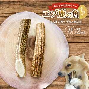 yӂ邳Ɣ[ŁzG]̊p MTCY×2{()[54-1366] kC Y ӂ邳Ɣ[ ̊p  VR p 񂿂  ߋ f^PA 