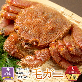 【ふるさと納税】ミソたっぷり身がぎっしり詰まった毛ガニ(大)約500g×7尾 | 蟹 かに カニ 毛ガニ 毛蟹 海鮮 海産物 海の幸 北海道 様似町 お土産 お取り寄せ 北海道産 生 特産品 ギフト 冷凍 お取り寄せグルメ 北海道様似町 おすすめ