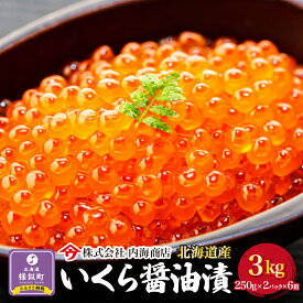 【ふるさと納税】いくら醤油漬500g（250g×2）×6箱＜合計3kg＞