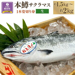 yӂ邳Ɣ[Łz{iTN}XjD㊈Y1{p؂gyzi11.5kg`2kgj | T[   Ⓚ  TP lC ӂ邳 CN CNHi  
