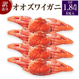 【ふるさと納税】「訳あり」オオズワイガニボイル 計約900g〜約2.7kg(2尾〜6尾) | 蟹 魚介類 水産 食品 人気 おすすめ 送料無料