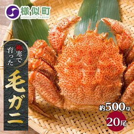楽天市場 ふるさと納税 カニ 総重量 水産物 10 0 10 9kg の通販