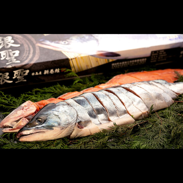 着後レビューで 送料無料 いくら醤油漬と銀聖切り身の親子セット fucoa.cl 着後レビューで 送料無料 いくら醤油漬と銀聖切り身の親子セット fucoa.cl