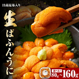 【ふるさと納税】生ばふんうに 日高昆布入 ミョウバン不使用【内容量が選べる】( 80g 160g ) ウニ 塩水 北海道 パック 小分け お試し 冷蔵 レビューキャンペーン 海鮮 魚介 海鮮丼 ギフト 贈り物 送料無料 お取り寄せ えりも町