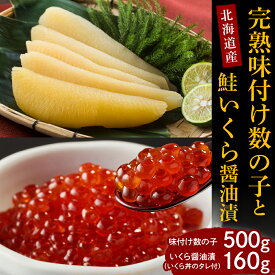 【ふるさと納税】完熟 味付け 数の子 500g 鮭 いくら 醤油漬 160g セット 国産 北海道産 サケ イクラ 特製たれ 醤油漬け 魚介 海鮮 海産物 人気 送料無料