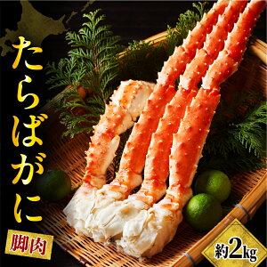 yӂ邳Ɣ[ŁzyeʂIׂz{C ^oKj r 800g 1kg 2kg / eʂIׂ {C  I ΂ ^o ^oI Ⓚ  r  CN CY  Mtg lC 