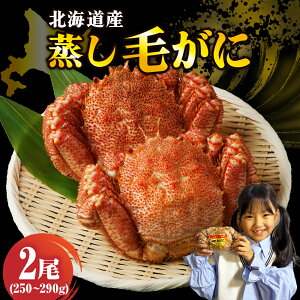 �y�ӂ邳�Ɣ[�Łz�y�N���z�� ��t���I�z�k�C���Y �������ъI���� ��250g�`��290g 1�� / 2�� �y���e�ʂ��I�ׂ�z�N������ �уK�j ���ɖ��X ���Y �Ⓚ ����� ���ɓ� �������� �k�C�� �������