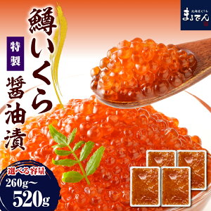 yӂ邳Ɣ[Łz]4.87   ݖЂ  yeʂIׂz ( 260g ~ 520g )  kC e ikura 500g  Ⓚ   瘥  CN C̍K CY r