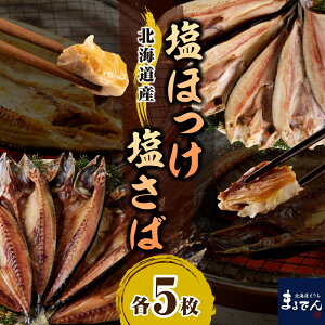 yӂ邳Ɣ[Łzق  Zbg e 200g × 5 v2kg / ق zbP ^ق  To I J  Ђ 銱  ֗ ^pbN  Ⓚ ċ Ă  YH