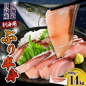 【ふるさと納税】北海道産 刺身用 ぶり 半身 皮つき (内容量が選べる: 800g～1kg / 1kg～1.2kg / 1.2kg～1.4kg )/ 鰤 フィレ 肉厚 魚 魚介類 魚介 海鮮 海の幸 海産物 船上活〆 刺身 生食用 ぶり大根 ぶりしゃぶ 鰤照り焼き 冷凍 冷凍便 国産 日高産 北海道 えりも町
