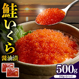 【ふるさと納税】 鮭いくら 醤油漬け 小分け 【 内容量が選べる 】( 250g × 2箱 / 4箱 ) | 500g 1kg いくら 大容量 ikura 冷凍 鮭卵 魚卵 いくら丼 魚介 海鮮 海の幸 海産物 家庭用 訳あり お取り寄せ 送料無料 えりも町