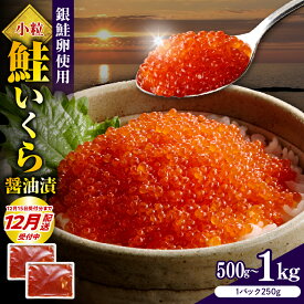 【ふるさと納税】 【年内配送 受付中！】鮭いくら 醤油漬け 小分け 【 内容量が選べる 】( 250g × 2箱 / 4箱 ) | 500g 1kg いくら 大容量 ikura 年内発送 冷凍 鮭卵 魚卵 いくら丼 旬 魚介 海鮮 海の幸 海産物 家庭用 訳あり お取り寄せ 送料無料 えりも町