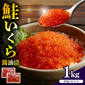 yӂ邳Ɣ[Łz  ݖЂ  y eʂIׂ z( 250g × 2 / 4 ) | 500g 1kg  e ikura  Ⓚ   瘥 H {  CN C̍K CY r[L